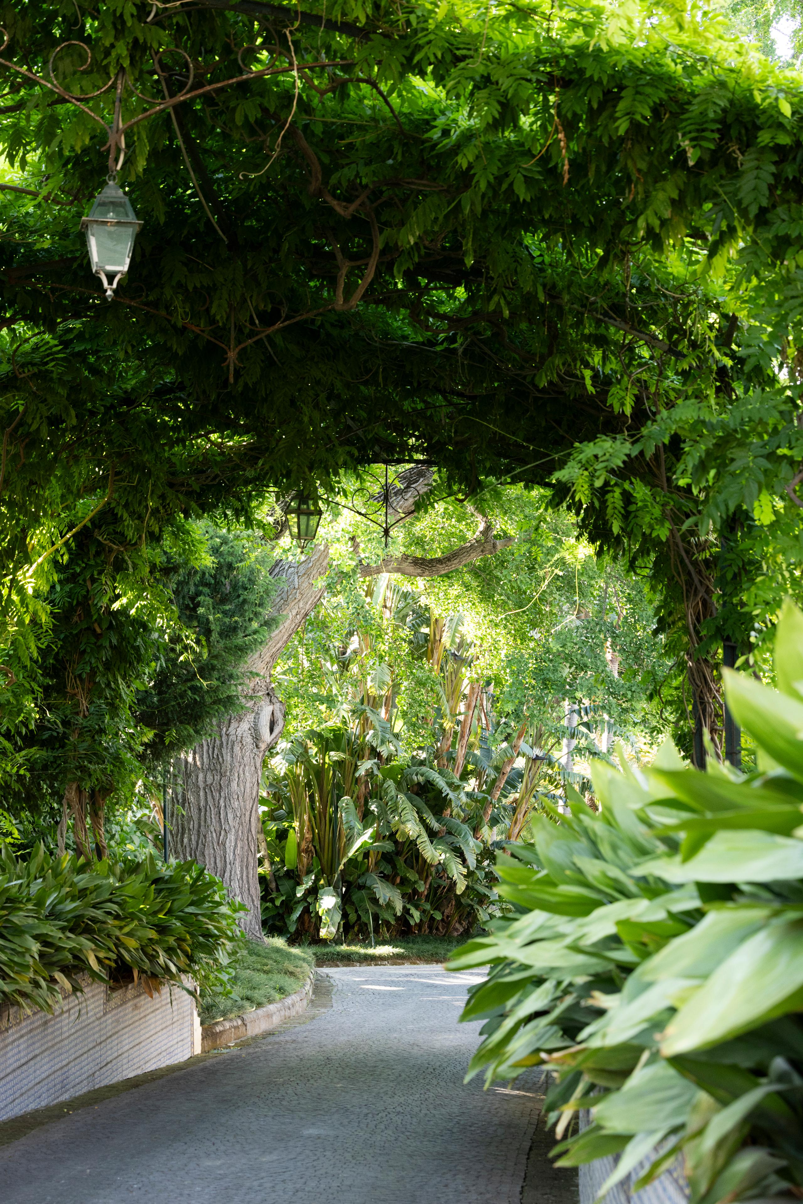 Giardino Botanico - 4