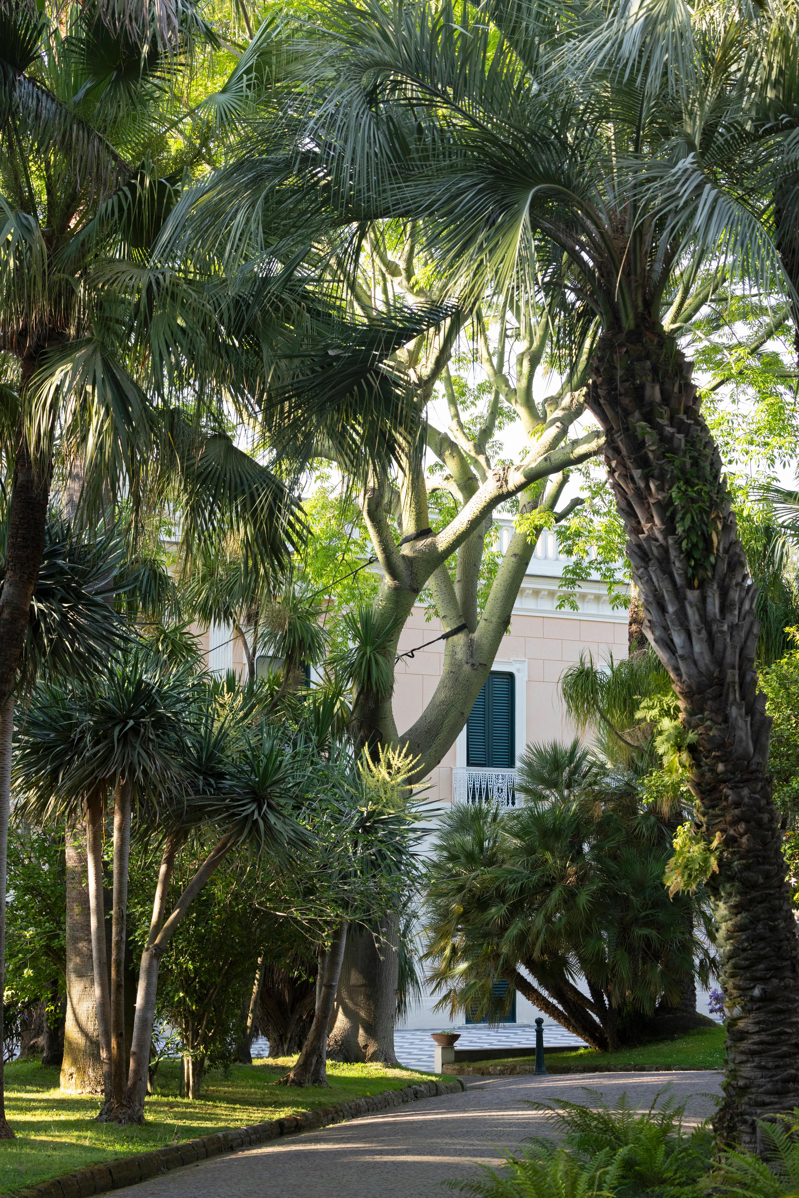 Giardino Botanico - 5