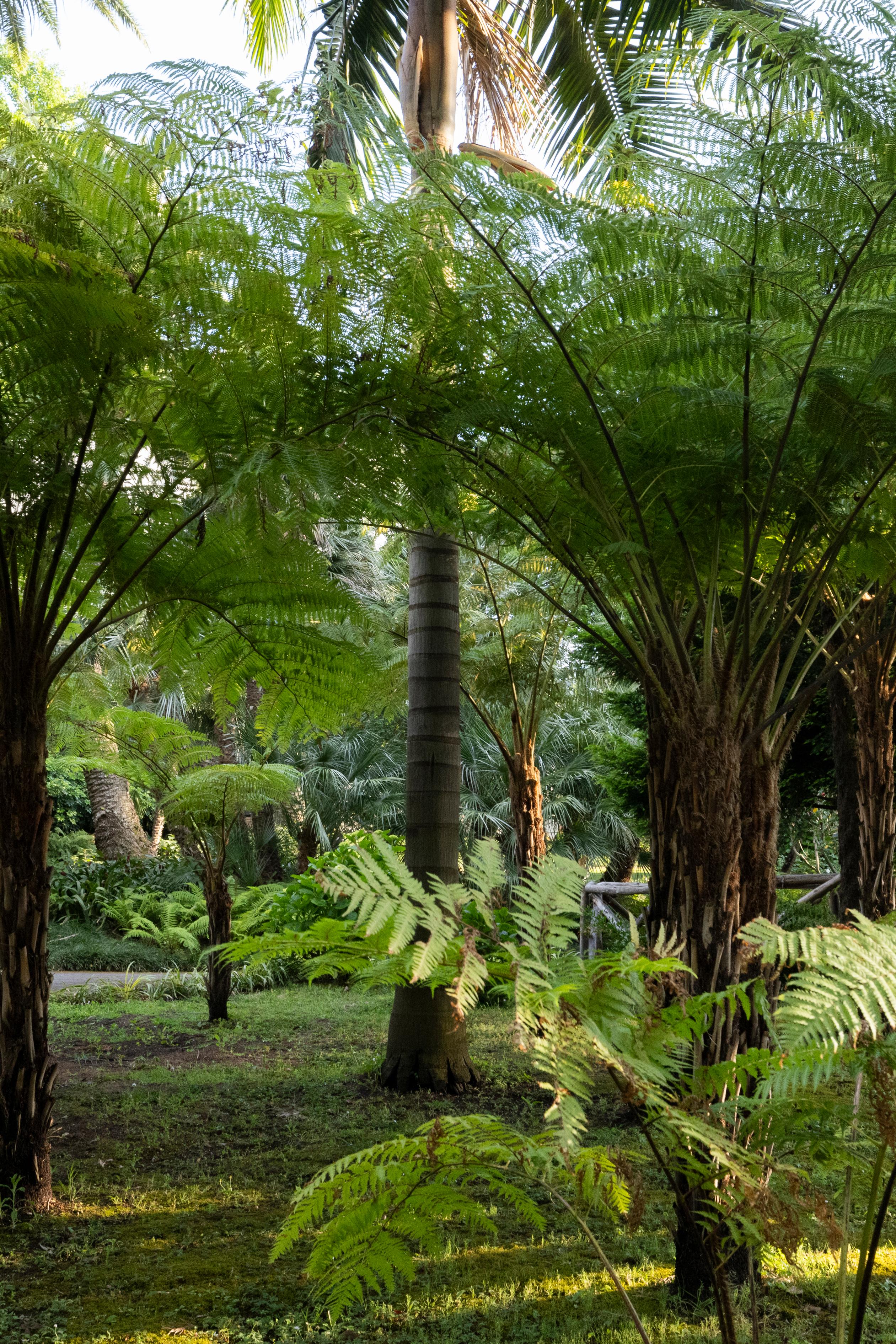 Giardino Botanico - 6