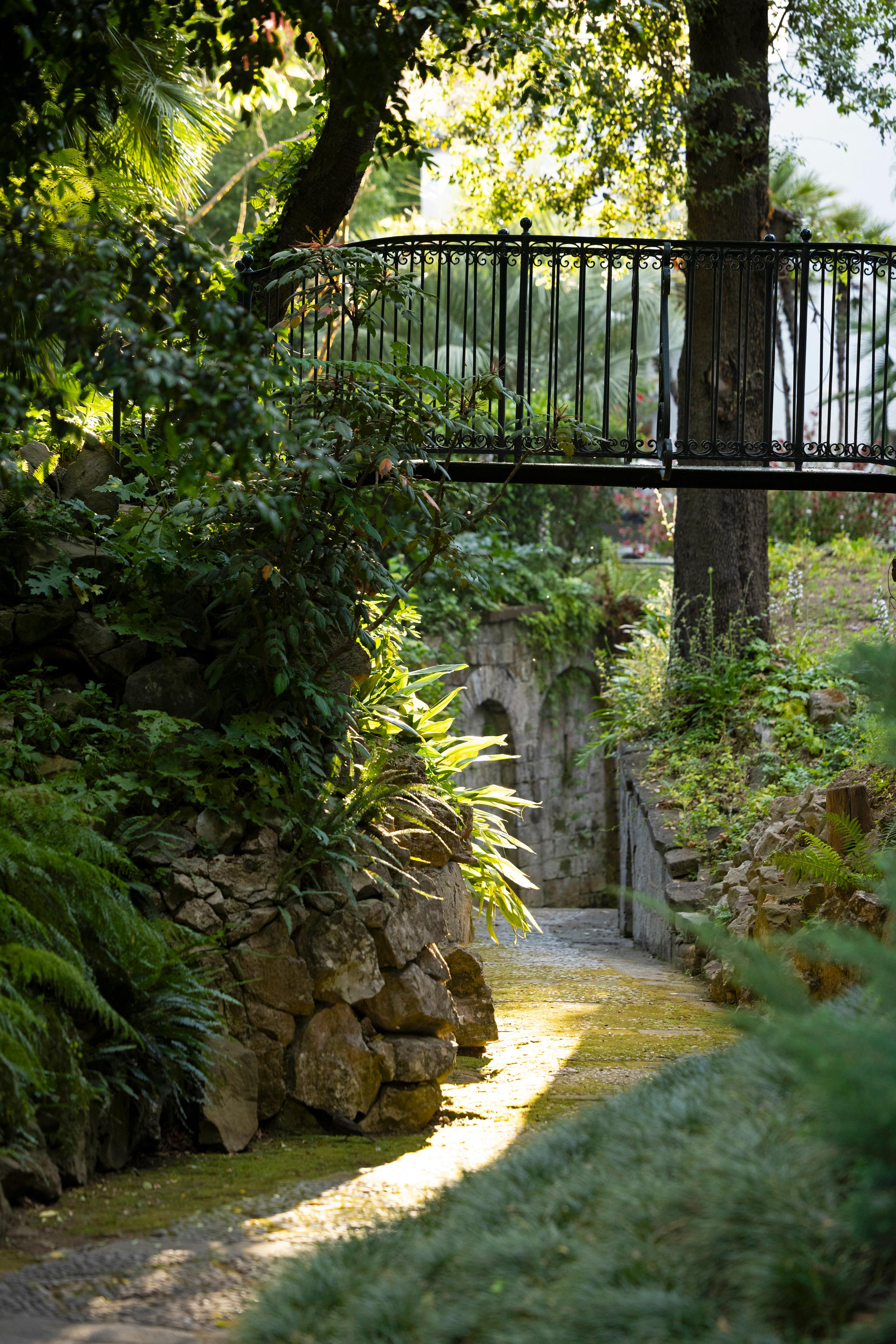 Giardino Botanico - 9