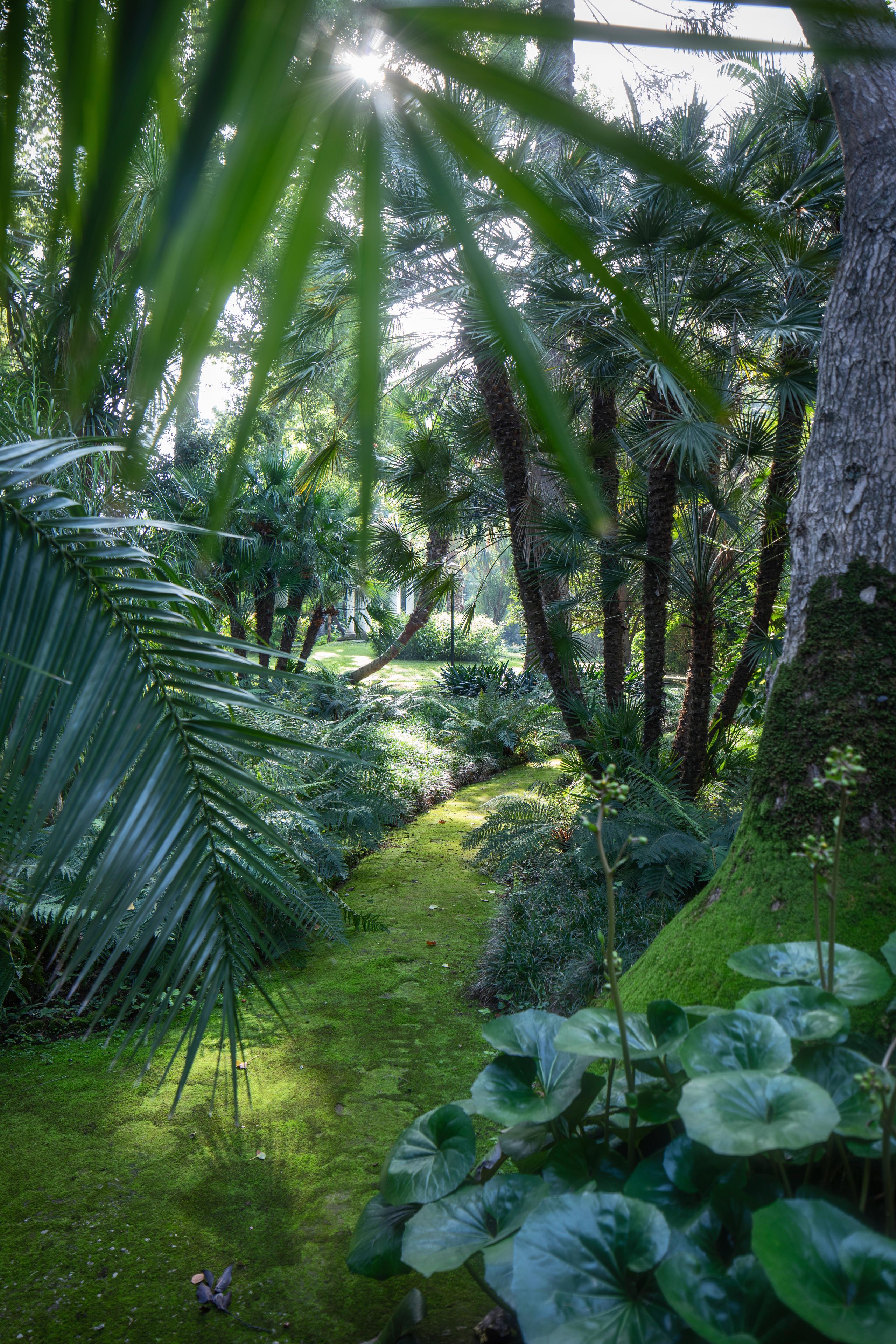 Giardino Botanico - 2