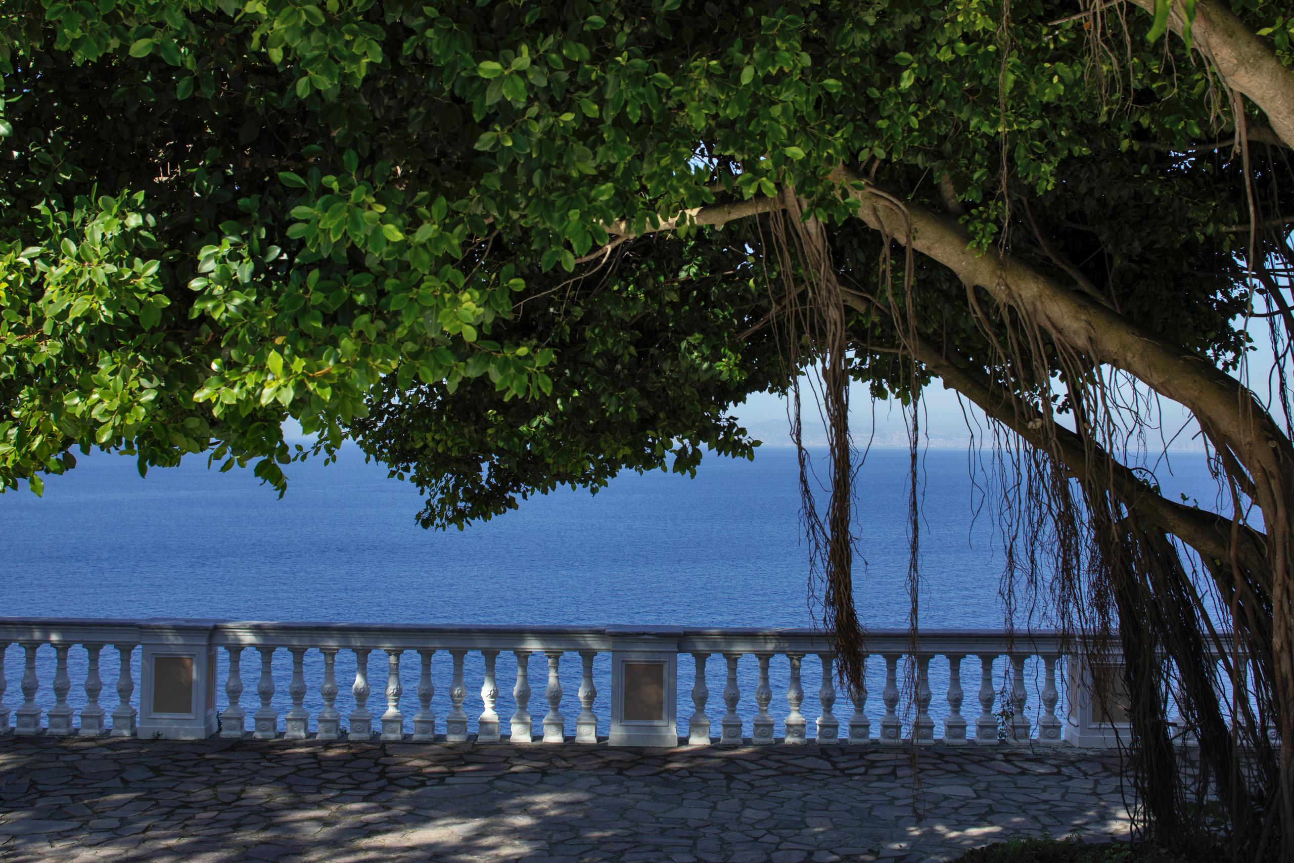 Giardino Botanico